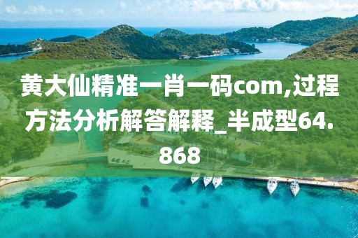 黄大仙精准一肖一码com,过程方法分析解答解释_半成型64.868