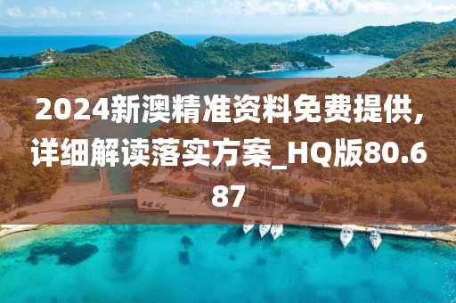 2024新澳精准资料免费提供,详细解读落实方案_HQ版80.687