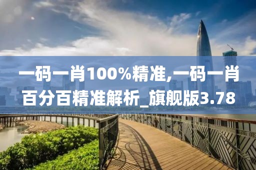 一码一肖100%精准,一码一肖百分百精准解析_旗舰版3.78