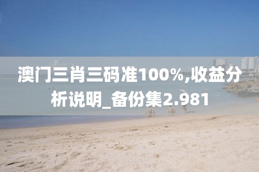 澳门三肖三码准100%,收益分析说明_备份集2.981