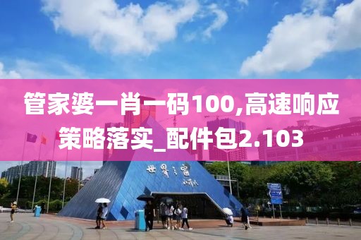 管家婆一肖一码100,高速响应策略落实_配件包2.103