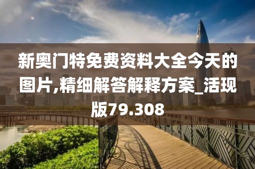 新奥门特免费资料大全今天的图片,精细解答解释方案_活现版79.308