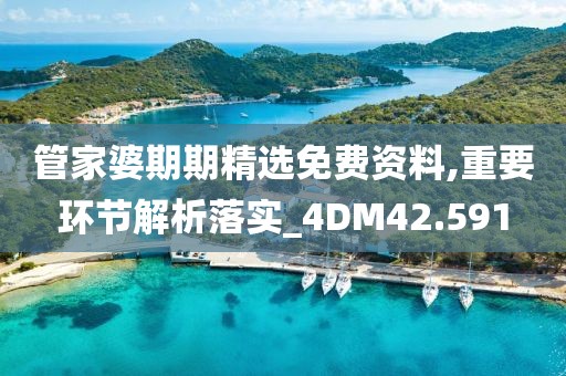 管家婆期期精选免费资料,重要环节解析落实_4DM42.591