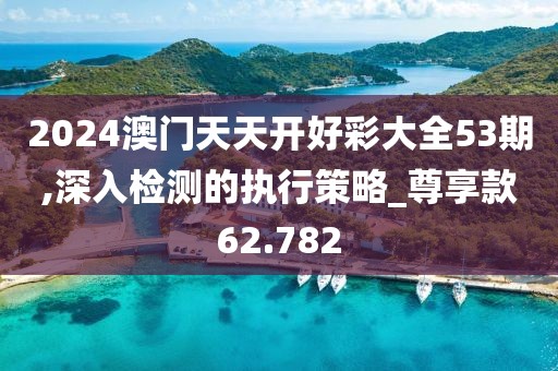 2024澳门天天开好彩大全53期,深入检测的执行策略_尊享款62.782