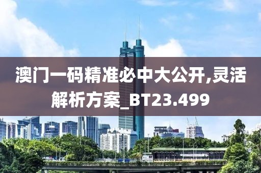 澳门一码精准必中大公开,灵活解析方案_BT23.499