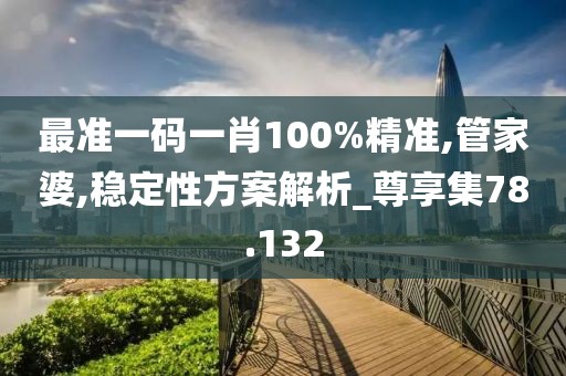 最准一码一肖100%精准,管家婆,稳定性方案解析_尊享集78.132