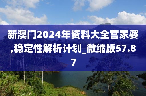 新澳门2024年资料大全宫家婆,稳定性解析计划_微缩版57.87