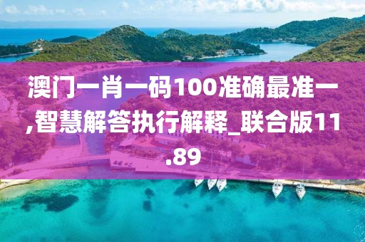 澳门一肖一码100准确最准一,智慧解答执行解释_联合版11.89