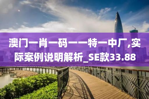 澳门一肖一码一一特一中厂,实际案例说明解析_SE款33.88