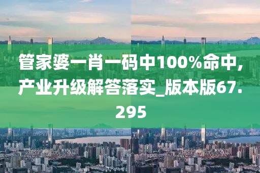 管家婆一肖一码中100%命中,产业升级解答落实_版本版67.295