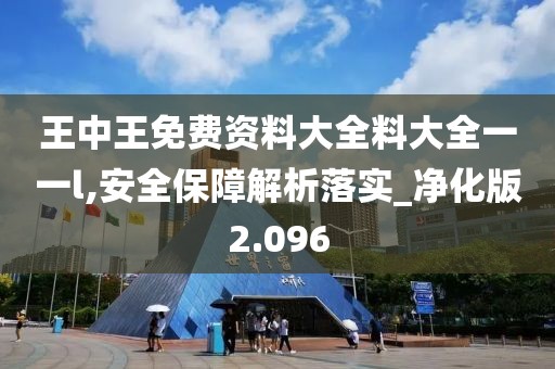 王中王免费资料大全料大全一一l,安全保障解析落实_净化版2.096