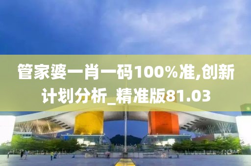 管家婆一肖一码100%准,创新计划分析_精准版81.03