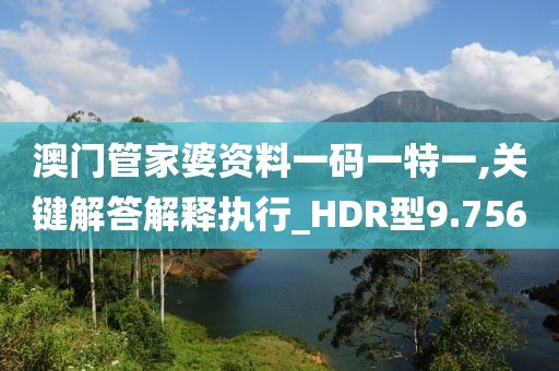 澳门管家婆资料一码一特一,关键解答解释执行_HDR型9.756