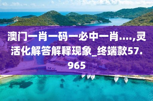 澳门一肖一码一必中一肖....,灵活化解答解释现象_终端款57.965