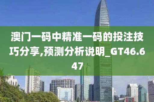 澳门一码中精准一码的投注技巧分享,预测分析说明_GT46.647