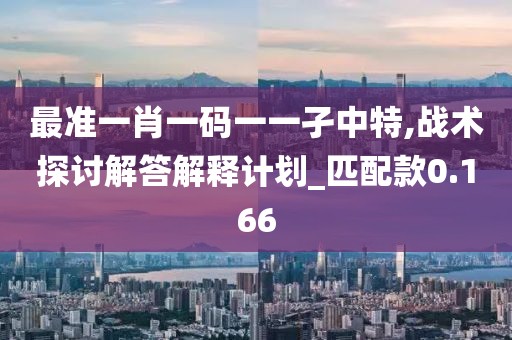 最准一肖一码一一孑中特,战术探讨解答解释计划_匹配款0.166