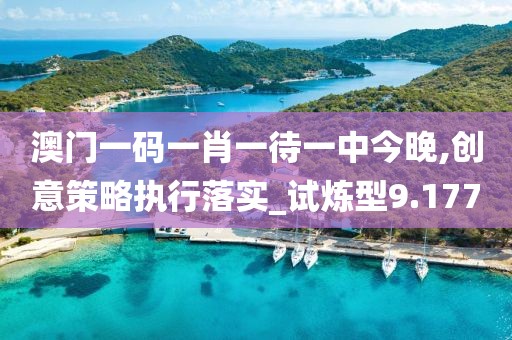 澳门一码一肖一待一中今晚,创意策略执行落实_试炼型9.177