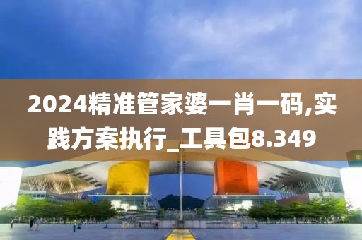 2024精准管家婆一肖一码,实践方案执行_工具包8.349