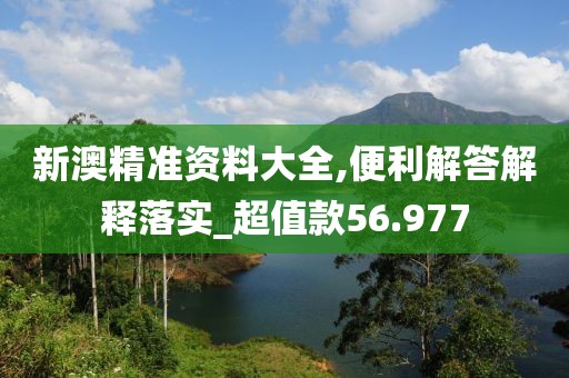 新澳精准资料大全,便利解答解释落实_超值款56.977