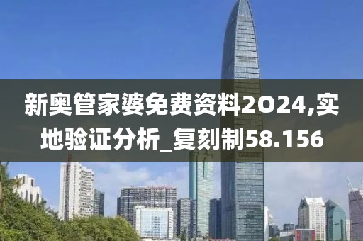 新奥管家婆免费资料2O24,实地验证分析_复刻制58.156