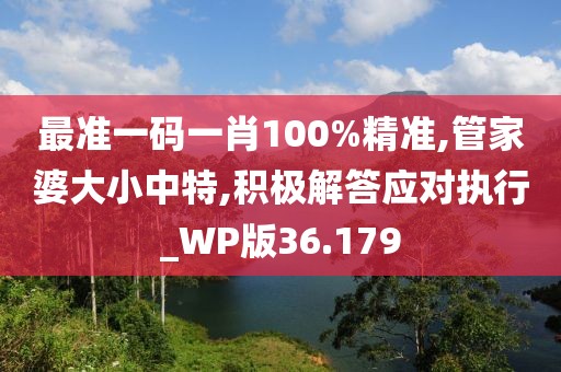 最准一码一肖100%精准,管家婆大小中特,积极解答应对执行_WP版36.179