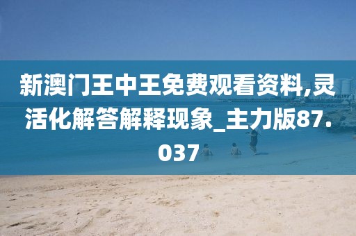 新澳门王中王免费观看资料,灵活化解答解释现象_主力版87.037