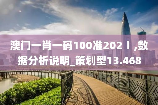 澳门一肖一码100准202ⅰ,数据分析说明_策划型13.468