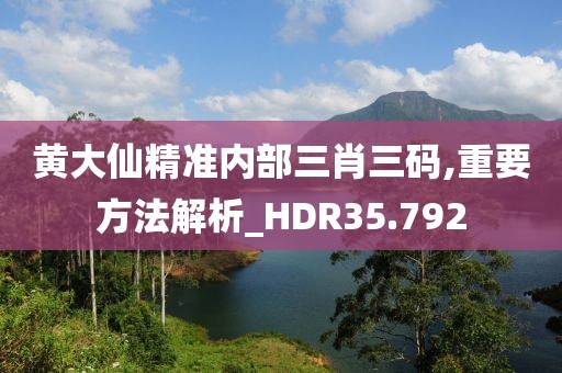 黄大仙精准内部三肖三码,重要方法解析_HDR35.792