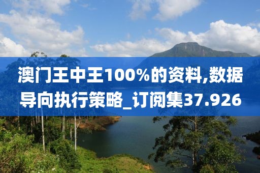 澳门王中王100%的资料,数据导向执行策略_订阅集37.926