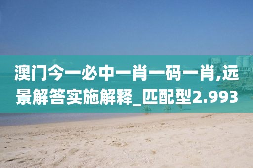 澳门今一必中一肖一码一肖,远景解答实施解释_匹配型2.993