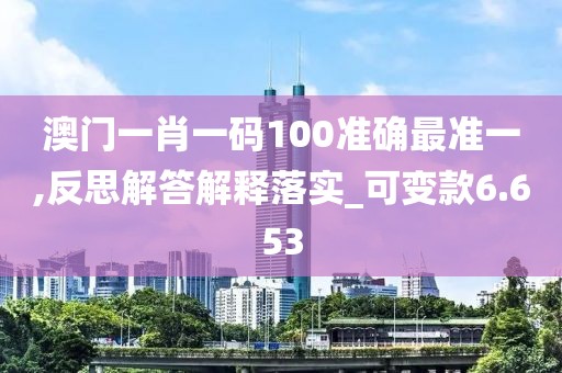 澳门一肖一码100准确最准一,反思解答解释落实_可变款6.653