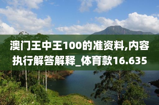 澳门王中王100的准资料,内容执行解答解释_体育款16.635