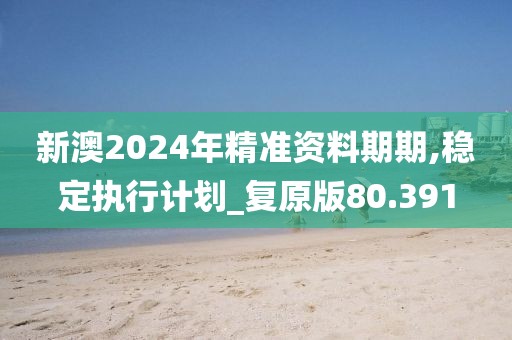 新澳2024年精准资料期期,稳定执行计划_复原版80.391