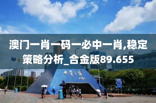 澳门一肖一码一必中一肖,稳定策略分析_合金版89.655