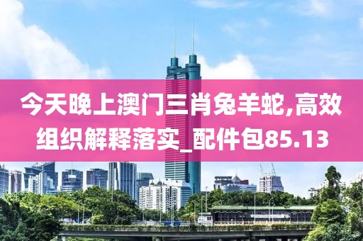 今天晚上澳门三肖兔羊蛇,高效组织解释落实_配件包85.13