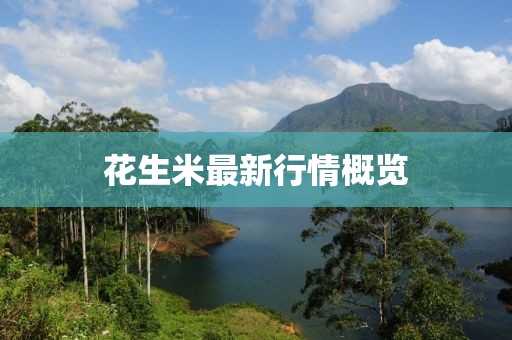 花生米最新行情概览