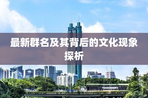 最新群名及其背后的文化现象探析