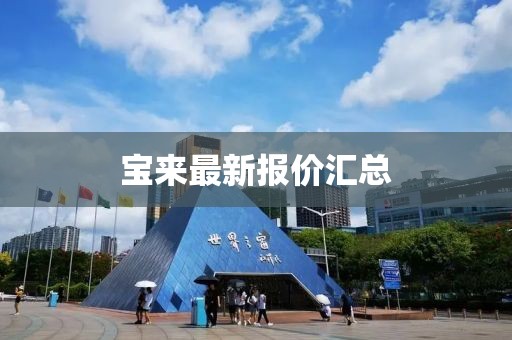 北城半夏 第52页