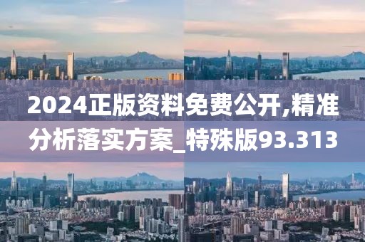 2024正版资料免费公开,精准分析落实方案_特殊版93.313