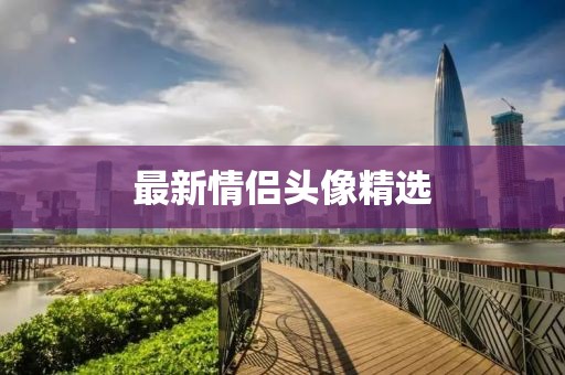 最新情侣头像精选