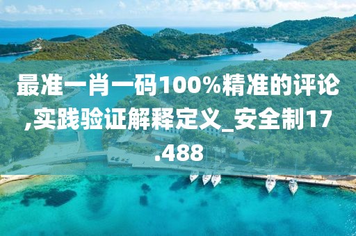 最准一肖一码100%精准的评论,实践验证解释定义_安全制17.488