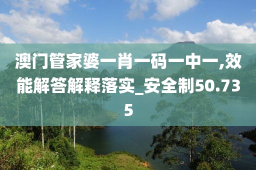 澳门管家婆一肖一码一中一,效能解答解释落实_安全制50.735