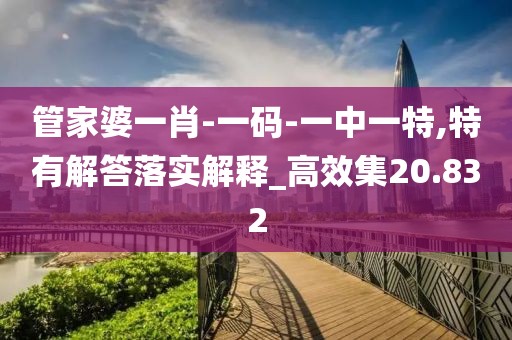 管家婆一肖-一码-一中一特,特有解答落实解释_高效集20.832