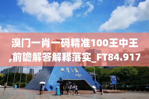 溴门一肖一码精准100王中王,前瞻解答解释落实_FT84.917