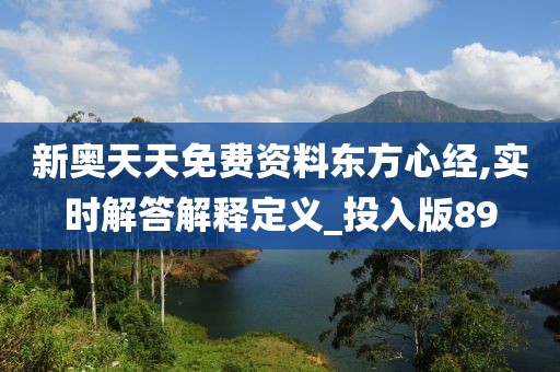 新奥天天免费资料东方心经,实时解答解释定义_投入版89