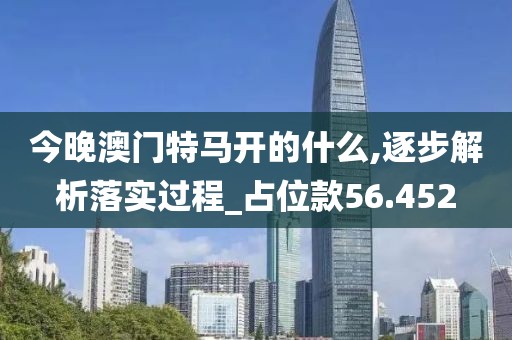 今晚澳门特马开的什么,逐步解析落实过程_占位款56.452