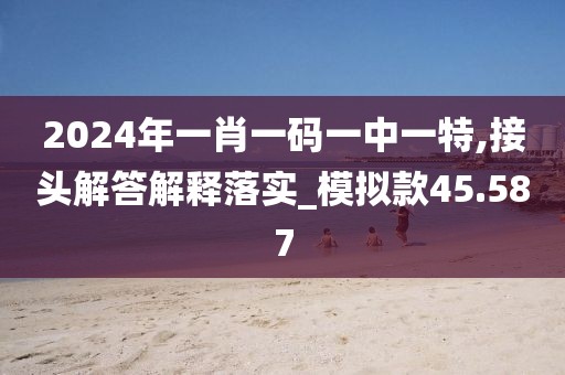2024年一肖一码一中一特,接头解答解释落实_模拟款45.587