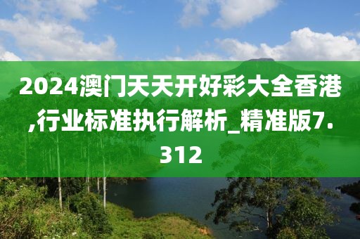 2024澳门天天开好彩大全香港,行业标准执行解析_精准版7.312