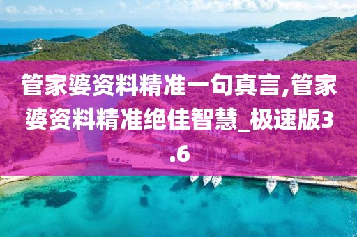 管家婆资料精准一句真言,管家婆资料精准绝佳智慧_极速版3.6