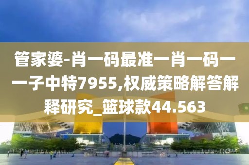 管家婆-肖一码最准一肖一码一一子中特7955,权威策略解答解释研究_篮球款44.563